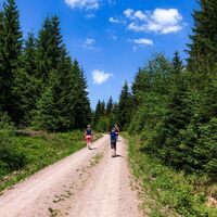 Wanderung von der Lütschetalsperre zur Wegscheide