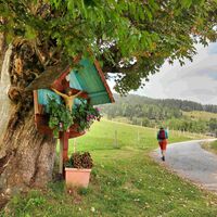 Wegkreuz am Weg zum Steinriegel_Ratten_Oststeiermark