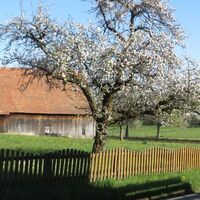 In Weltenschwann
