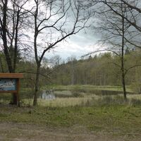 Grundmühlteich