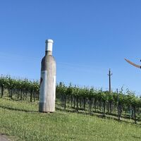 Weinflasche aus Holz