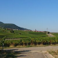 Blick auf Frankweiler und die Annakapelle