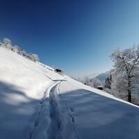 Wildschönau Oberau Stocker