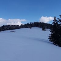 Ochsenrunde_Unberührte Almlandschaft Richtung Ochsenstand