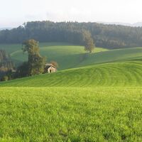 Rückblick Klosterhof