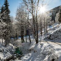 Am Wanderweg rauf zum Aigenberg