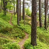 Aussicht Hohes Kreuz Slow Trail  Römerschlucht