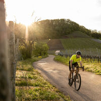 Hügelabwärts mit dem Gravelbike