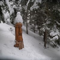 Skulpturen von Serge Couvert im Winterwald