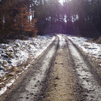 am Forstweg Richtung L5042