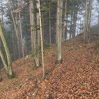 Dann der nordseitige Abstieg vom Heuberg, nach wie vor alles unmarkiert, aber hier gibt es sehr liebe- und kunstvoll gestaltete Steinmännchen, die dem orientierungslosen Wanderer den Weg weisen