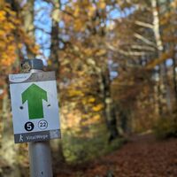 Beschilderung für den Vitalweg 5 und 22 im Herbst 