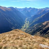 Hinterwald mit Schwarzensee