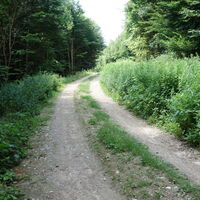 Richtung Hadersfeld Buschgettl