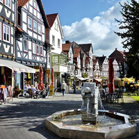 Brunnen an der Weinreihe am Kurpark Bad Sooden-Allendorf