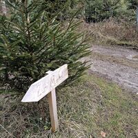 Am Weg oben nach links