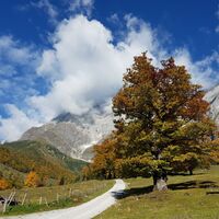 Malerischer Herbst im Riedingtal