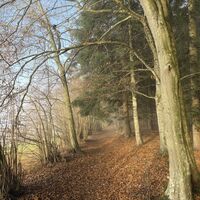 In feiner Laubgasse gehts weiter