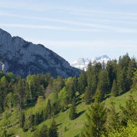 am Horizont der verschneite Hochplattenkogel und das Rotgschirr