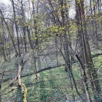 image00018