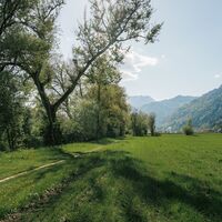 76 - laufrunde-woerschach-enns-8 © Christoph Lukas (2025-06).jpg