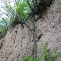 Trasdorf - Göttweig