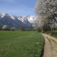 Schneeberg