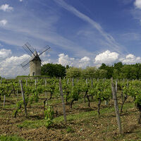 moulins calon