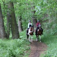 Reiter im Schöpstal