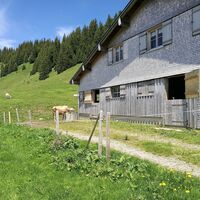 Bereuters Neualpe