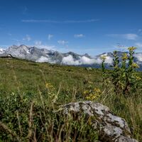 Bei der Vorderalp gibts wunderschöne Aussichten