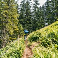 Abstieg Klettersteig Röbischlucht