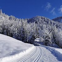 Tief verschneite Landschaft in Sibratsgfäll