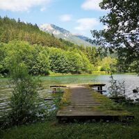 Alter Badesteg am Stausee