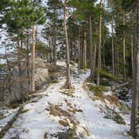 Breitenstein - Luckerte Wand - Prein a. d. Rax