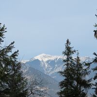 Breitenstein - Luckerte Wand - Prein a. d. Rax