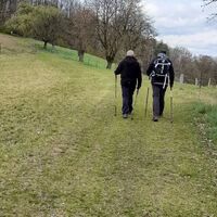 Zum Teil führt die Wanderung auch auf Wiesenwegen