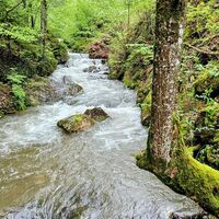 0.5 km Weg zum Stauweiher