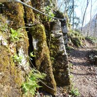 Weg zur Ruine Gutrat