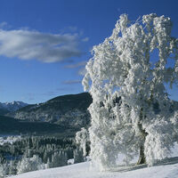 Winterwanderung -Achele Runde