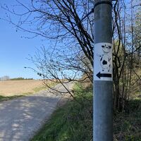 Wegweiser Abzweig