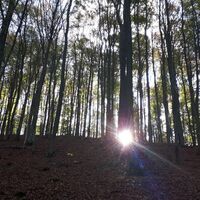 Auf dem Weg zur Winterkirchel