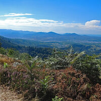 Aussicht vom Tannschachberg