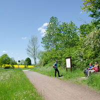 Ellerbachtal