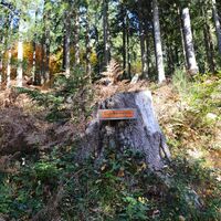 Weg zum Bernsteinfelsen