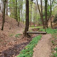 Steinbachklamm, Oststeiermark