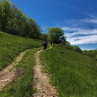 Weg des Maquis in Richtung des Bauernhofs Morez