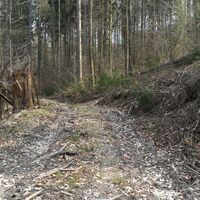 Von Breitenhain zum Wasserschloss Wolfersdorf