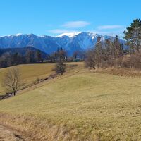 Schneebergblick