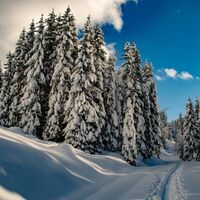 Winterzauber